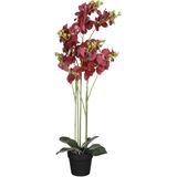 Mica Decorations Orchidee bloem kunstplant - rood - H90 x B30 cm