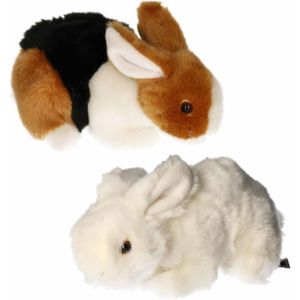 Setje van 2x stuks pluche knuffel konijnen van 20 cm - Dieren knuffels