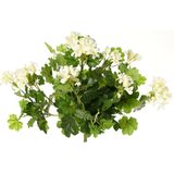 Topart Kunstbloemen boeket Oostenrijkse Geranium wit 40 cm - 2x - Kunstplanten met bloemen