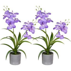 Louis Maes Orchidee bloemen kunstplant in bloempot - 2x - paars bloemen - H38 cm