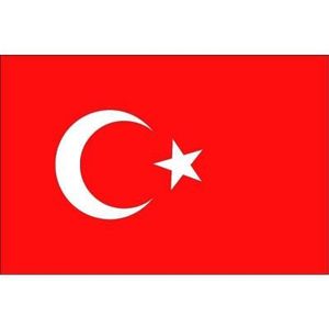 10x Binnen en buiten stickers Turkije 10 cm - Turkse vlag stickers - Supporter feestartikelen - Landen decoratie en versieringen