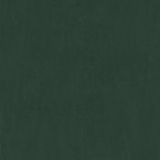 James &amp; Nicholson Fleece deken/plaid - zacht polyester - donkergroen - 180 x 130 cm - XL formaat