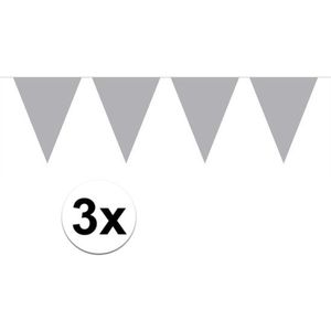 3x Mini vlaggenlijn / slinger - 300 cm - zilver / gekleurd