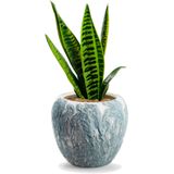 Jodeco Plantenpot/bloempot Marble - wit/ijsblauw - keramiek - D20 x H18 cm - hotel chique