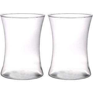 2x stuks brede trompet bloemenvaas/vazen van glas 19 cm- brede vazen transparant - glazen vaas/vazen