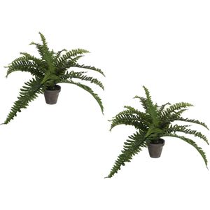 2x stuks boston Varen kunstplanten groen in grijze pot H35 cm x D45 cm - Kunstplanten/nepplanten