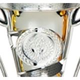 Luxe trofee/prijs beker met sierlijke oren - zilver - kunststof - 17 x 11 cm