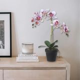 Louis Maes Orchidee bloemen kunstplant in pot - bloemen/bloemetjes - wit/roze/groen - H52 cm - Kamer/kantoor/badkamer