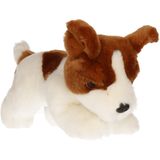 Keel Toys - Jack Russel - honden knuffel - bruin/beige - pluche - 25 cm