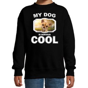 Chihuahua honden trui / sweater my dog is serious cool zwart - kinderen - Chihuahuas liefhebber cadeau sweaters - kinderkleding / kleding