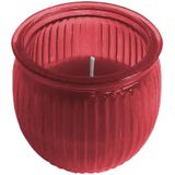 Citronella kaars 7,5 cm rood - 10 branduren