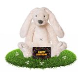 Verjaardag knuffel konijn 28 cm met gratis verjaardagskaart