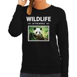 Dieren foto sweater Panda - zwart - dames - wildlife of the world - cadeau trui Pandas liefhebber