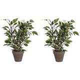 2x Groen/Witte Ficus Kunstplanten 40 cm Voor Binnen - Kunstplanten/Nepplanten/Binnenplanten. U Ontvangt 2 Stuks.