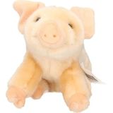 Pluche knuffel varken 18 cm - Boerderij dieren speelgoed varkens