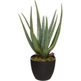 Set van 2x stuks atmosphera Aloe kunstplanten in pot van cement 42 cm - Nepplanten