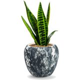 Jodeco Plantenpot/bloempot Marble - wit/zwart - keramiek - D20 x H18 cm - hotel chique