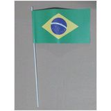 Zwaaivlaggetjes Brazilie 12 x 24 cm