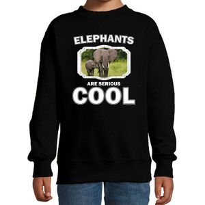 Dieren olifant met kalf sweater zwart kinderen - elephants are serious cool trui - cadeau olifant/ olifanten liefhebber - kinderkleding / kleding