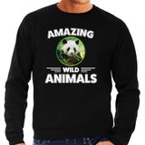Sweater panda - zwart - heren - amazing wild animals - cadeau trui panda / pandaberen liefhebber