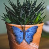 Pro Garden tuindecoratie bloempothanger vlinder - kunststeen - blauw - 13 x 10 cm