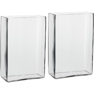 2x Hoge vaas transparant glas 20 x 10 x 30 cm - Accubakken - Glazen vazen - Woonaccessoires