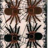 Faram nep spinnen/spinnetjes 8 cm - zwart/bruin - 8x stuks - Horror/griezel thema decoratie beestjes