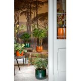 Mica Decorations - Plantenpot/bloempot - 2x stuks - keramiek - okergeel glans/spotted- D21/H19 cm
