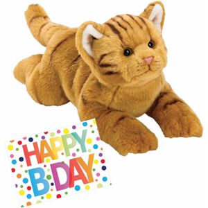 Pluche knuffel rode kat/poes van 33 cm met A5-size Happy Birthday wenskaart - Verjaardag cadeau setje