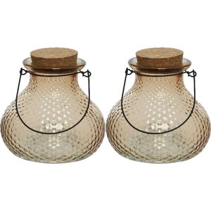 Decoris wespenvanger/wespenval - set 2x - glas - lichtbruin - D14 x H13 cm