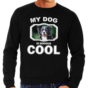 Border collie  honden trui / sweater my dog is serious cool zwart - heren - Border collies liefhebber cadeau sweaters