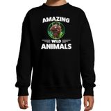 Sweater aap - zwart - kinderen - amazing wild animals - cadeau trui aap / orang oetan apen liefhebber