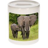 Dieren olifant foto spaarpot 9 cm jongens en meisjes - Cadeau spaarpotten olifanten liefhebber