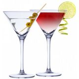Complete bar set met 4x Martini cocktailglazen en cocktailshaker