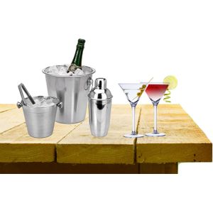 Complete bar set met 4x Martini cocktailglazen en cocktailshaker