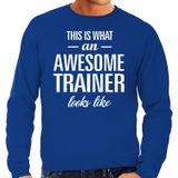 Awesome trainer - geweldige trainer cadeau sweater blauw heren - Vaderdag / verjaardagkado trui