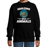 Sweater schildpad - zwart - kinderen - amazing wild animals - cadeau trui schildpad / schildpadden liefhebber