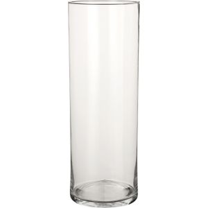 1x Ronde bloemen vaas/vazen van helder glas 55 cm - Voor verse of kunst bloemen en boeketten - Glazen vazen transparant