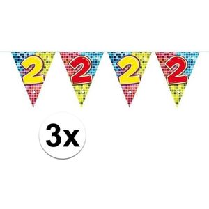 3x Mini vlaggenlijn / slinger - verjaardag 2 jaar - 300 cm