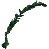 3x Mini buxus guirlande slinger 500 x 1 cm kunststof - Home Deco - Hobby materiaal