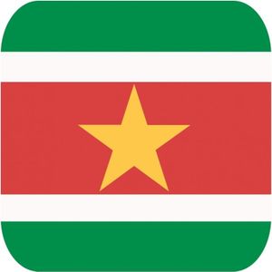 60x Bierviltjes Surinaamse vlag vierkant - Suriname feestartikelen - Landen decoratie