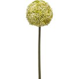 Emerald Allium/Sierui kunstbloem - 2x - losse steel - wit/groen - 75 cm - Natuurlijke uitstraling