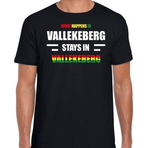 Valkenburg / Vallekeberg Carnaval verkleed outfit / t-shirt zwart voor heren - Limburg Carnaval verkleed outfit / kostuum - What happens in Vallekeberg stays in Vallekeberg