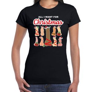 Bellatio Decorations foute kersttrui/t-shirt voor dames - All I want for Christmas - piemels - zwart