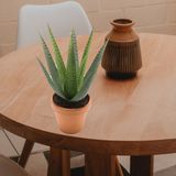 Kunstplant Aloe Vera - 2x - groen - in terracotta pot - 23 cm