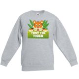Tony the tiger sweater grijs voor kinderen - unisex - tijger trui - kinderkleding / kleding