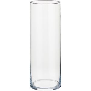Bloemenvaas van glas 12 x 30 cm - Glazen transparante cilinder vazen