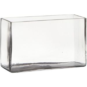 Transparante rechthoek accubak vaas/vazen van glas 25 x 10 x 15 cm - Bloemstukje/terrarium vaas