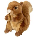 Nature Planet - Bosdieren pluche knuffels - 2x stuks - Eekhoorn en Grijze Wolf - 18 cm