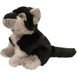 Nature Planet - Bosdieren pluche knuffels - 2x stuks - Eekhoorn en Grijze Wolf - 18 cm